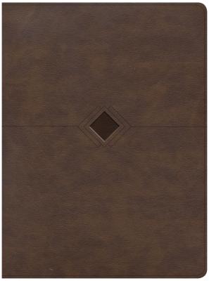 Image of CSB Day-by-Day Chronological Bible, Brown Leathertouch other