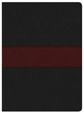 Image of KJV Apologetics Study Bible, Black/Red Leathertouch other