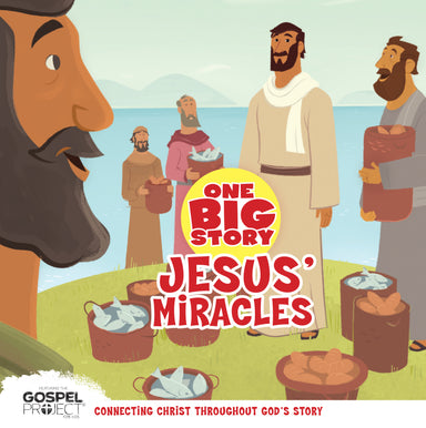 Image of Jesus' Miracles, One Big Story Board Book other