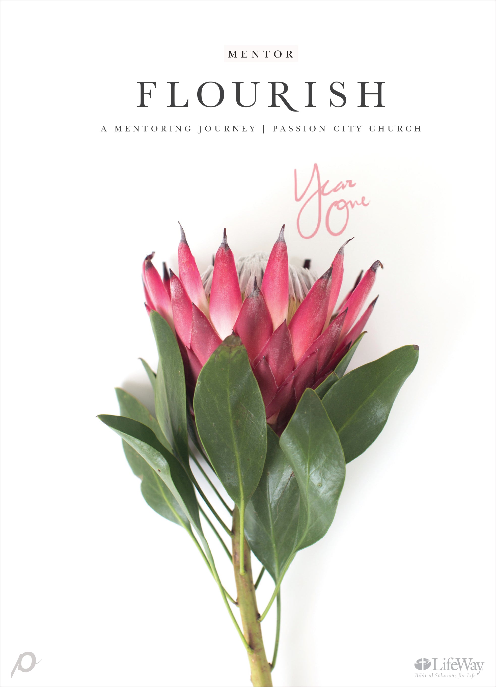 Image of Flourish Mentor Journal, Year One other