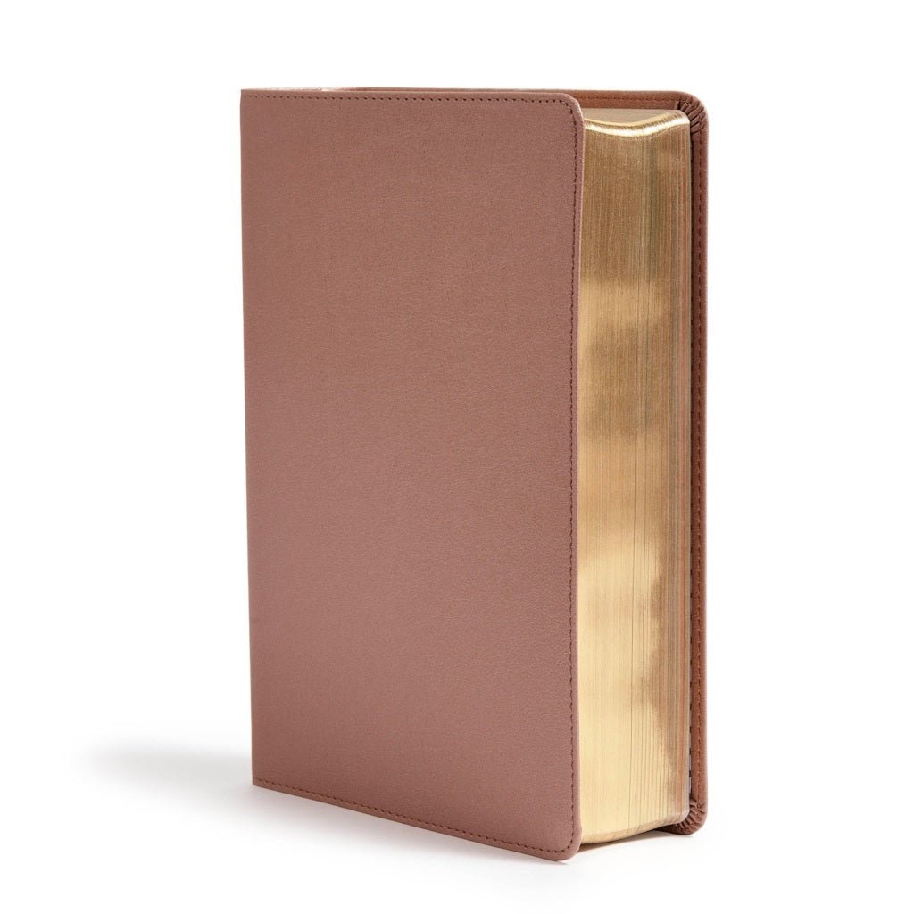 Image of CSB She Reads Truth Bible, Rose Gold, Imitation Leather, Devotional, Women's Study, Verse Illustrations, Colour Timelines, Maps, Book Introductions, Gilt Edged other