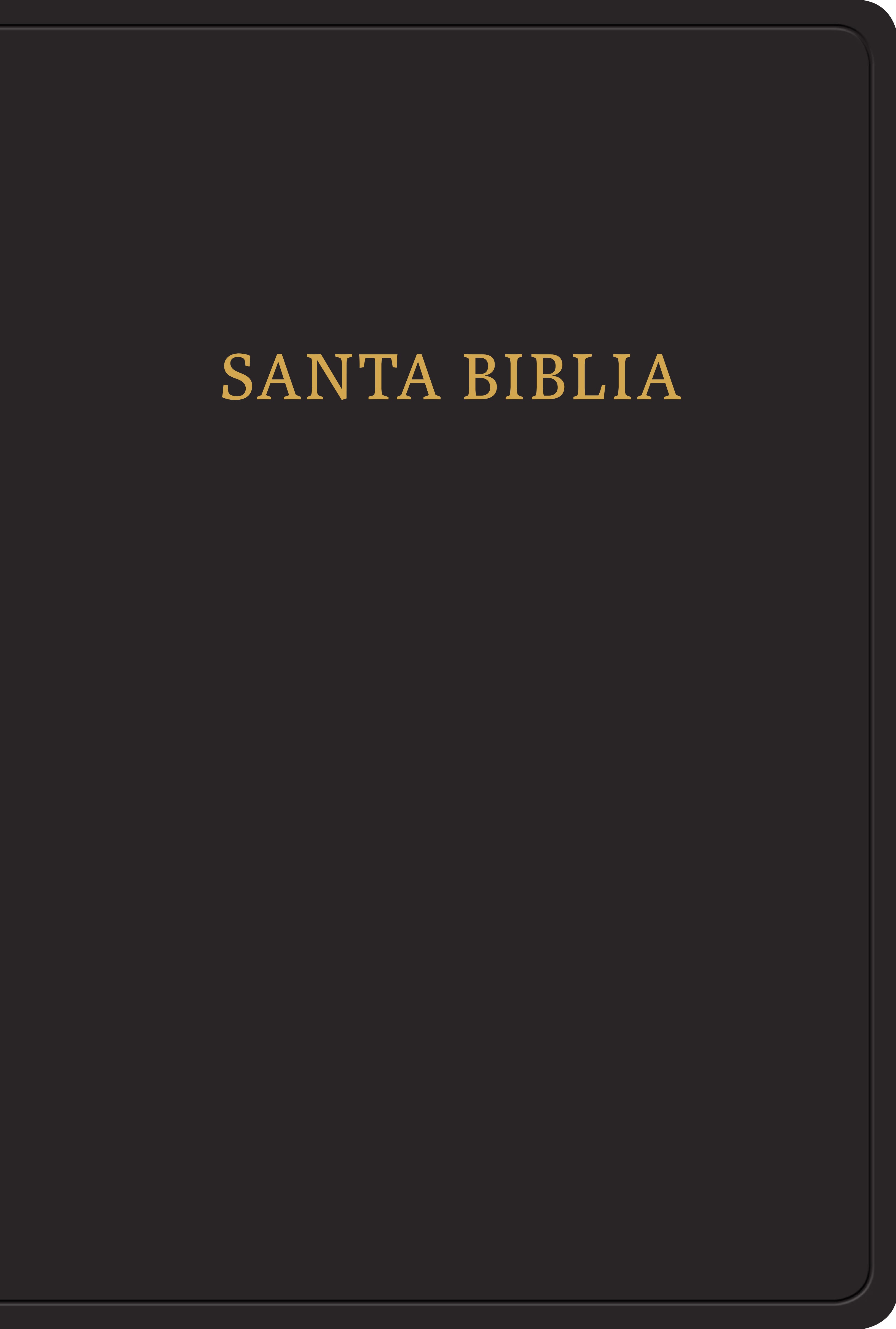 Image of RVR 1960 Biblia letra gigante, negro imitación piel con índice other