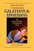 Image of Galatians & Ephesians Commentary other