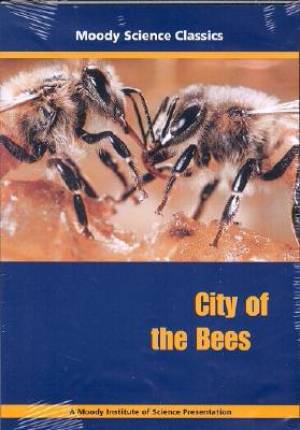 Image of City Of The Bees DVD other