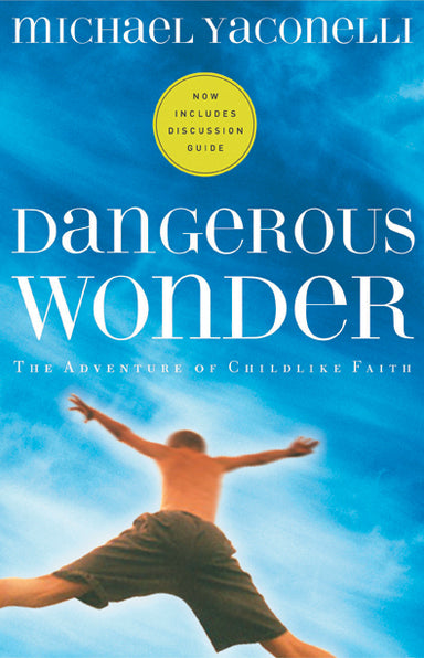 Image of Dangerous Wonder: the Adventure of Childlike Faith other