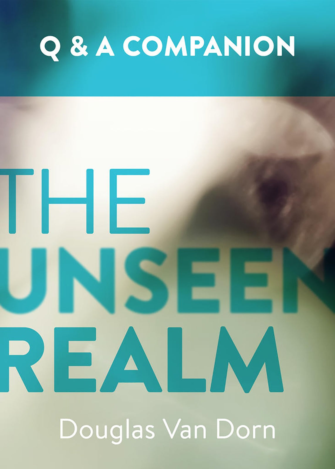 Image of The Unseen Realm: A Question & Answer Companion other