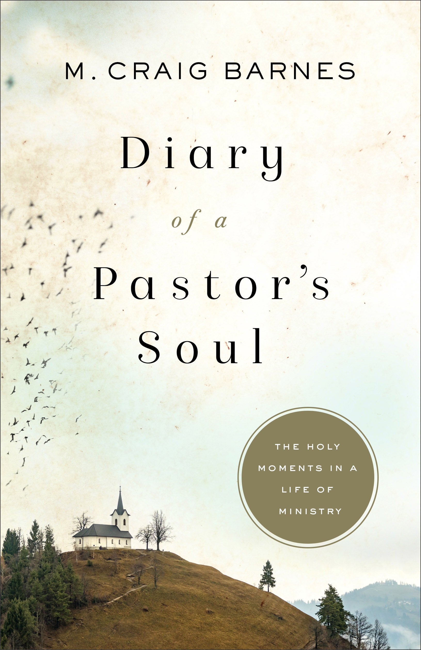 Image of Diary of a Pastor's Soul: The Holy Moments in a Life of Ministry other