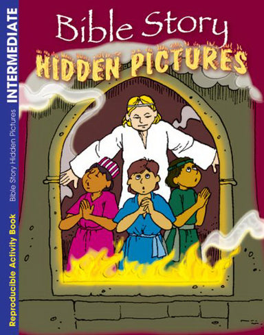 Image of Bible Story Hidden Pictures Activity Book other
