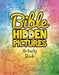 Image of Bible Hidden Pictures Activity Book other
