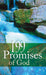 Image of 199 Promises Of God other