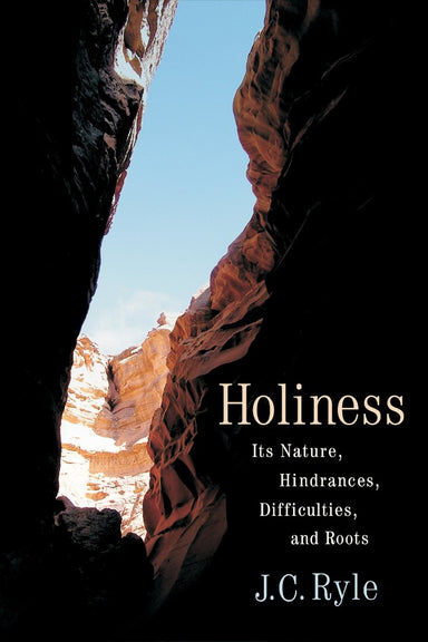 Image of Holiness other