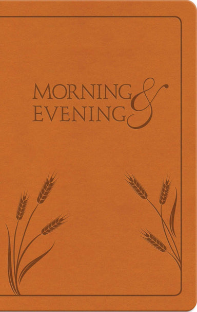 Image of Morning and Evening other