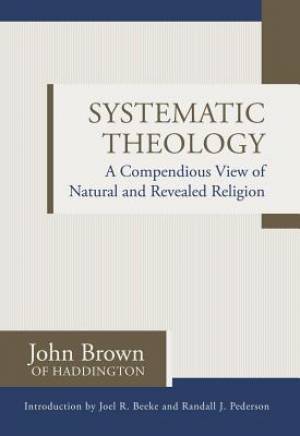 Image of Systematic Theology other