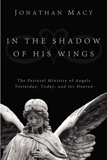 Image of In the Shadow of His Wings: The Pastoral Ministry of Angels: Yesterday, Today, and for Heaven other