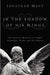 Image of In the Shadow of His Wings: The Pastoral Ministry of Angels: Yesterday, Today, and for Heaven other