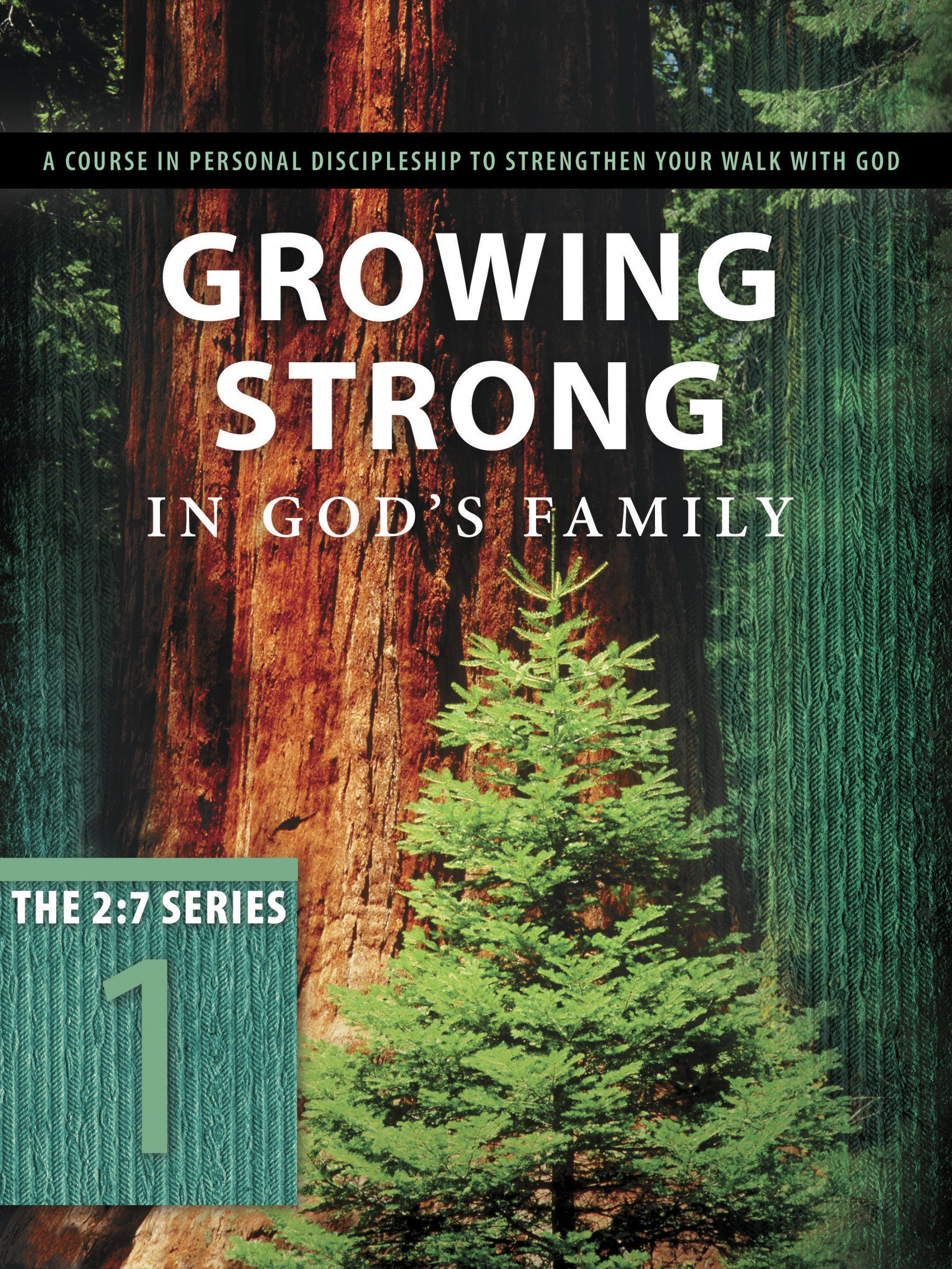 Image of Growing Strong In Gods Family #1 other