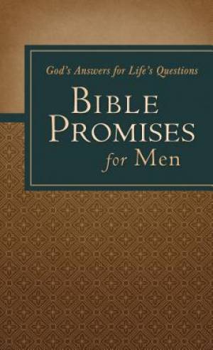 Image of Bible Promises For Men other