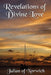 Image of Revelations of Divine Love other