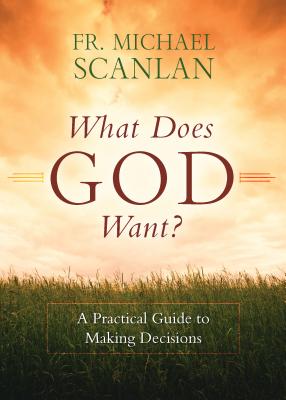 Image of What Does God Want? other
