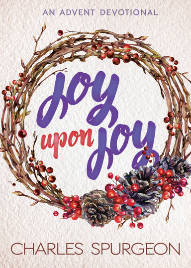 Image of Joy Upon Joy other