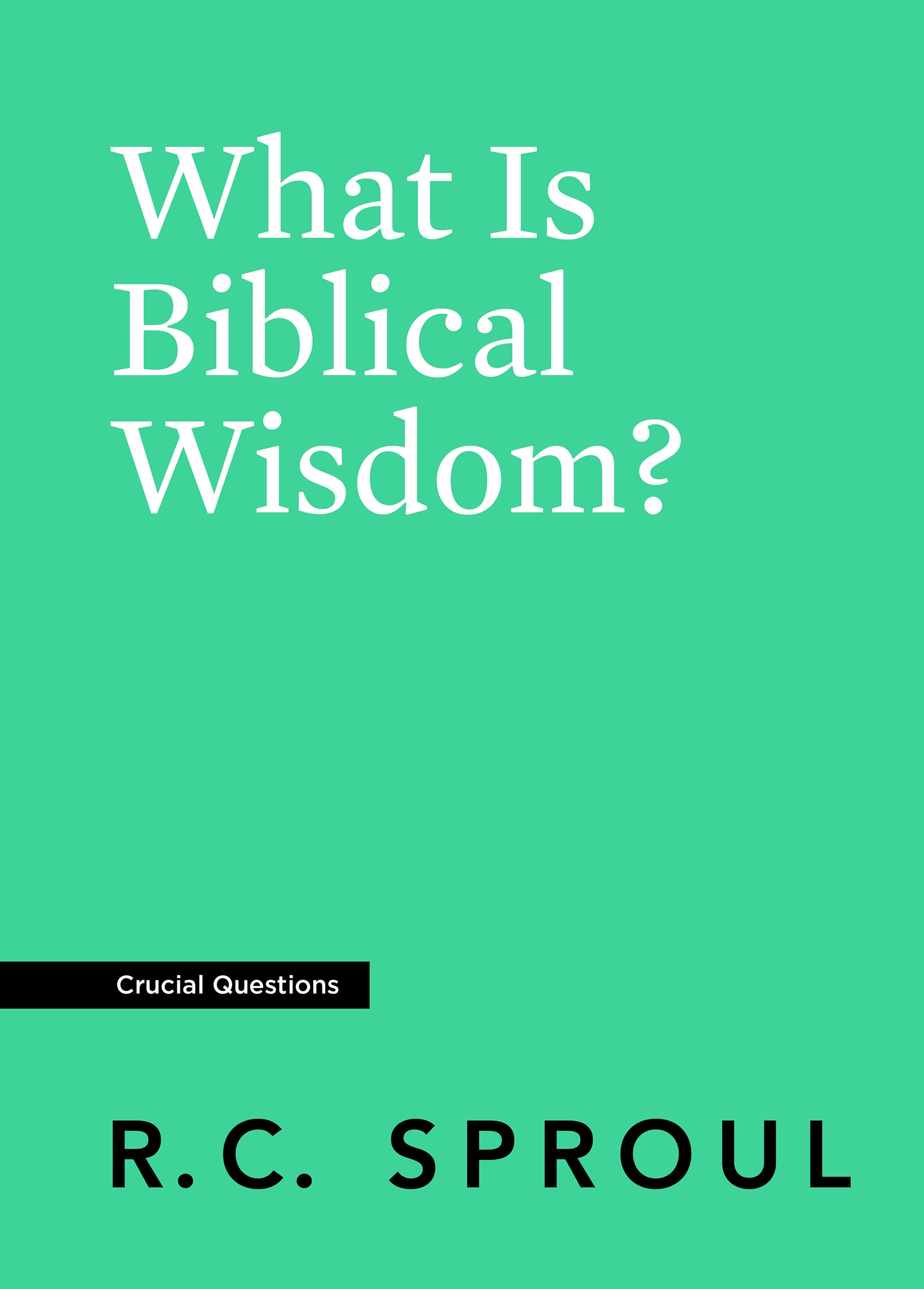 Image of What Is Biblical Wisdom? other