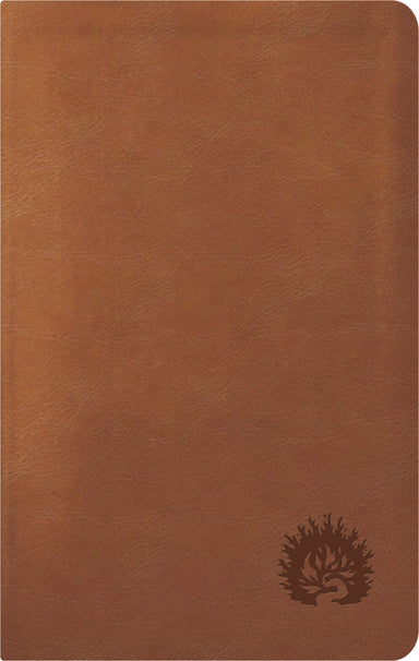 Image of ESV Reformation Study Bible, Condensed Edition - Light Brown, Leather-Like other