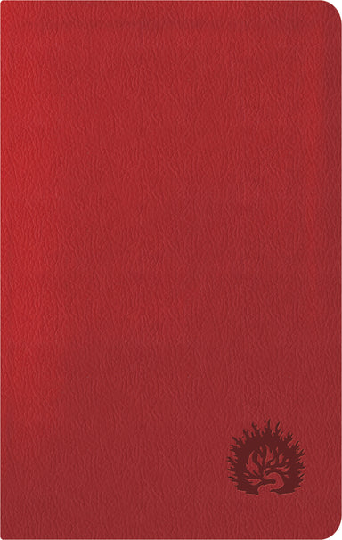 Image of ESV Reformation Study Bible, Condensed Edition - Red, Leather-Like other