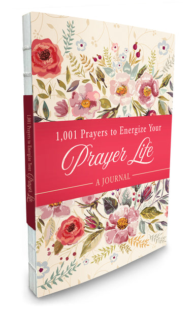 Image of 1001 Prayers to Energize Your Prayer Life other