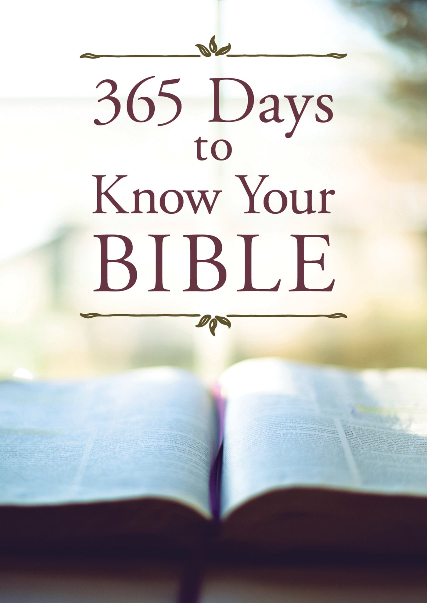 Image of 365 Days to Know Your Bible other