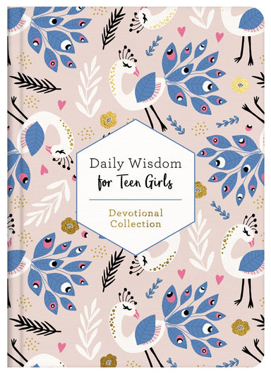 Image of Daily Wisdom for Teen Girls other