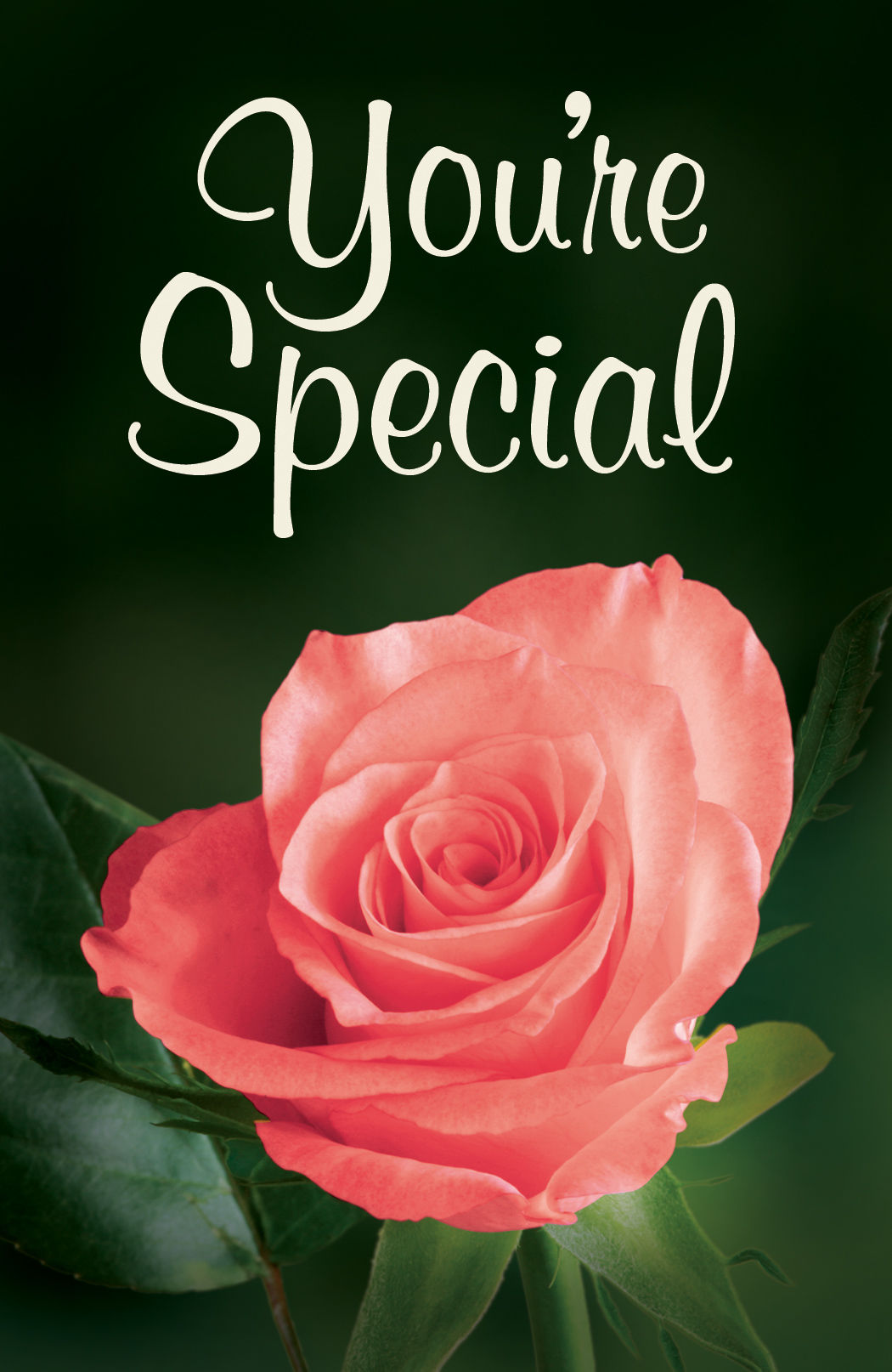 Image of Youre Special Tracts - Pack Of 25 other