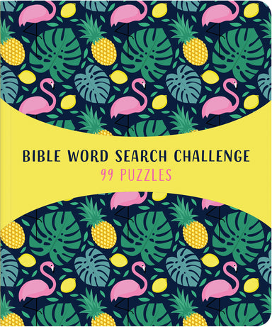 Image of Bible Word Search Challenge other