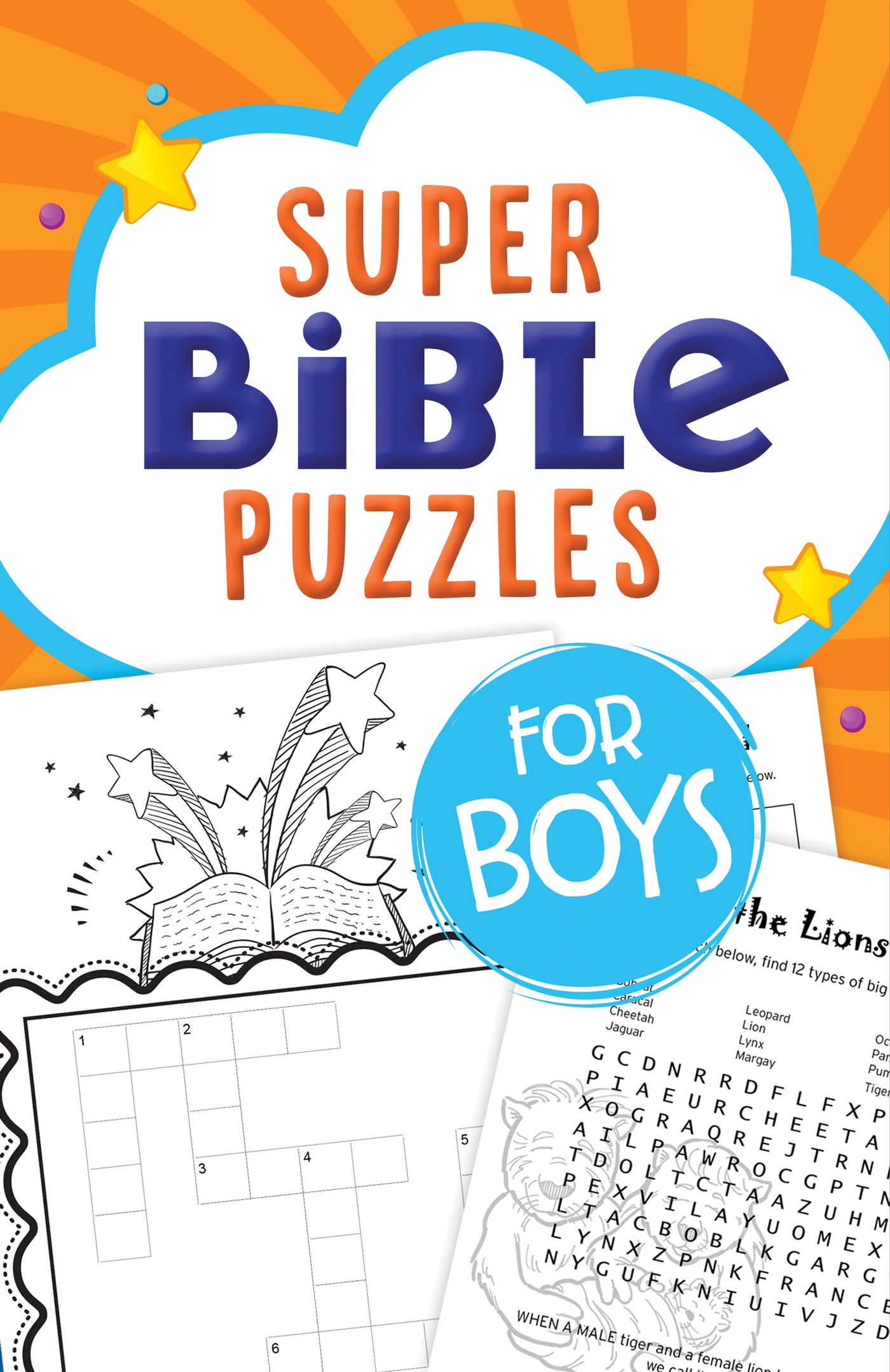 Image of Super Bible Puzzles for Boys other