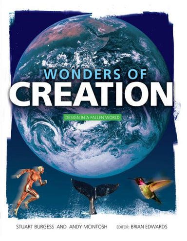 Image of Wonders of Creation: Design in a Fallen World other