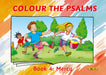 Image of Colour the Psalms Book 4 other