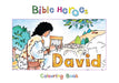 Image of Bible Heroes - David other