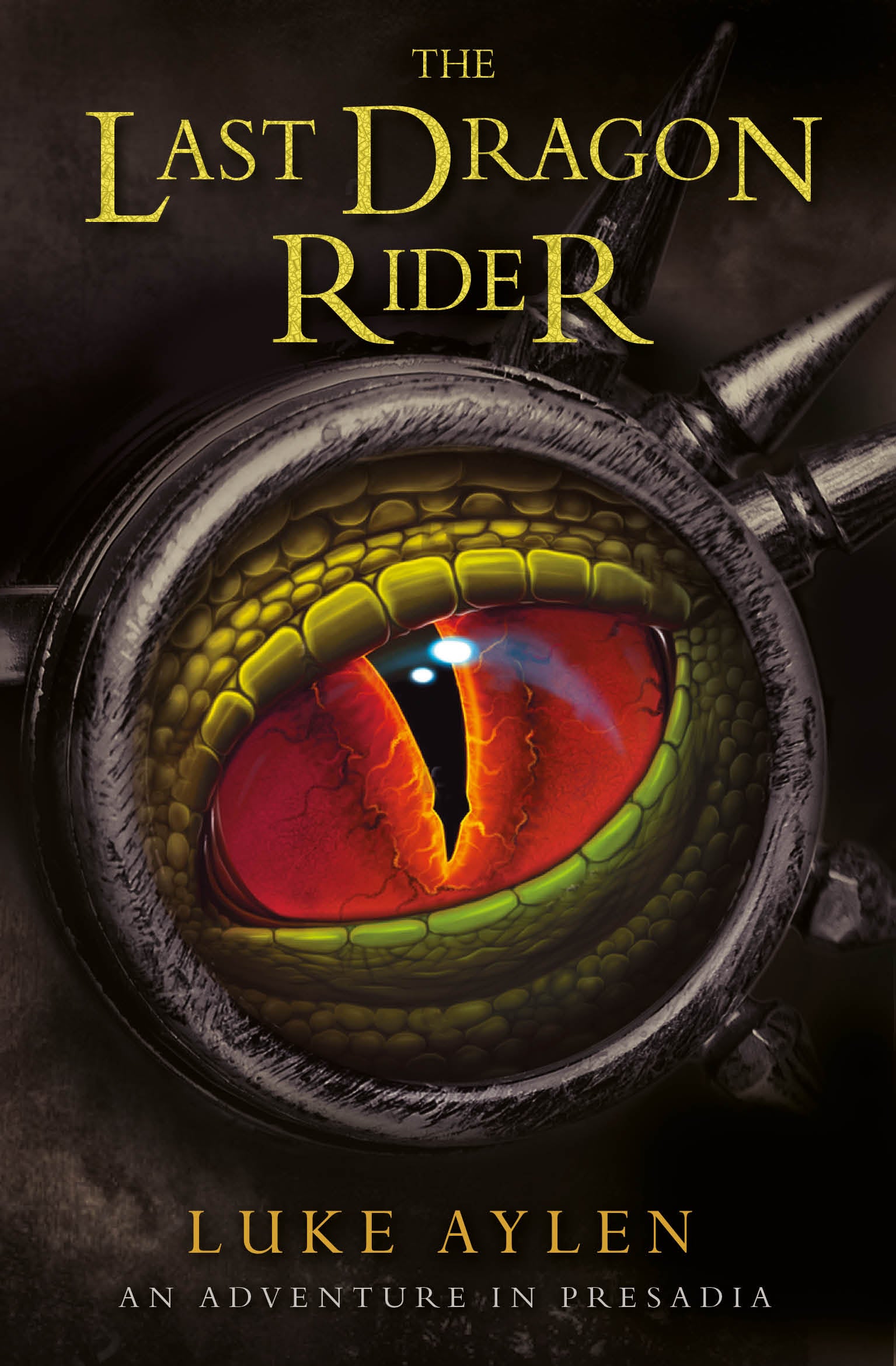 Image of The Last Dragon Rider other