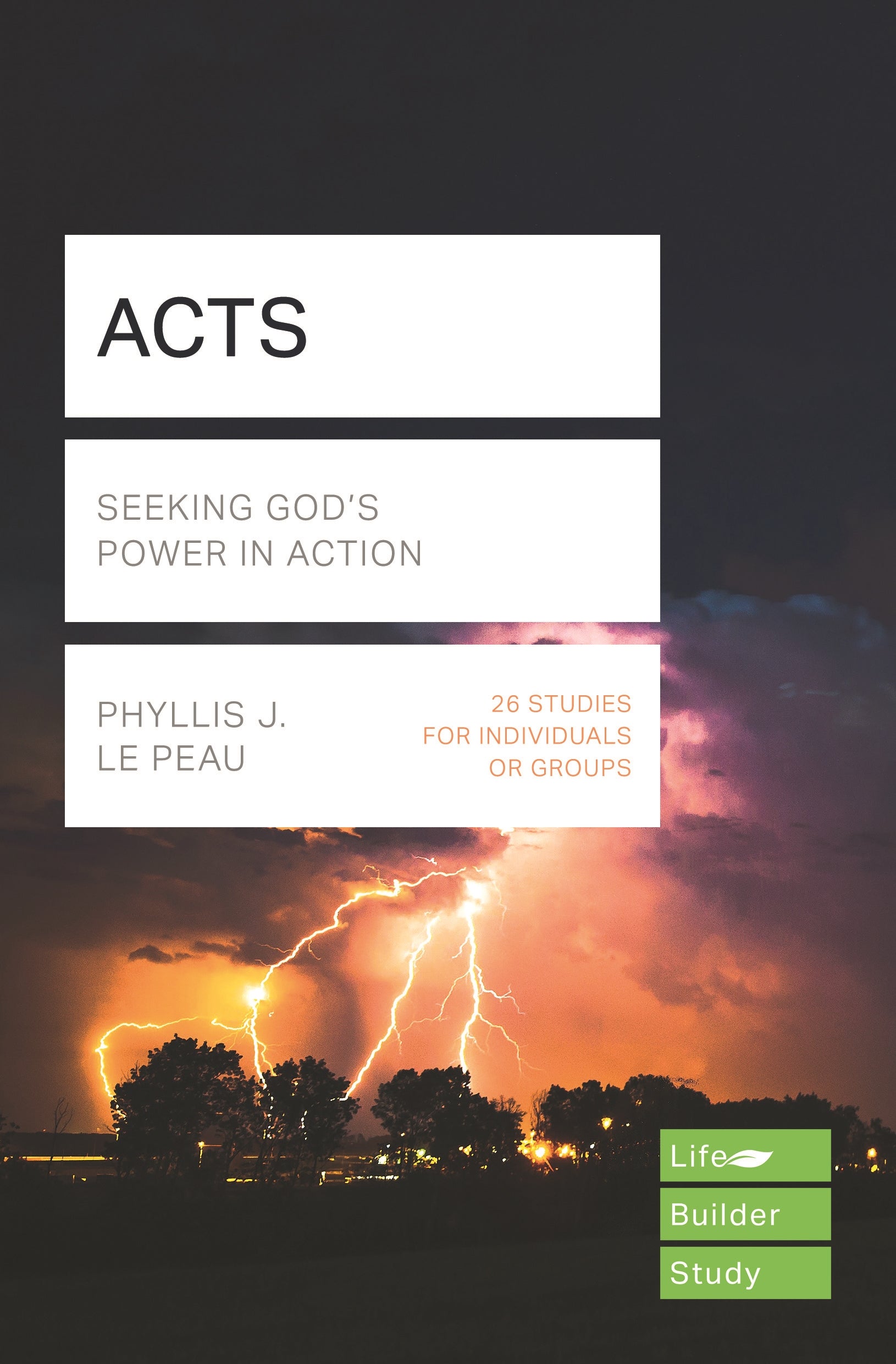 Image of Lifebuilder Bible Study: Acts other