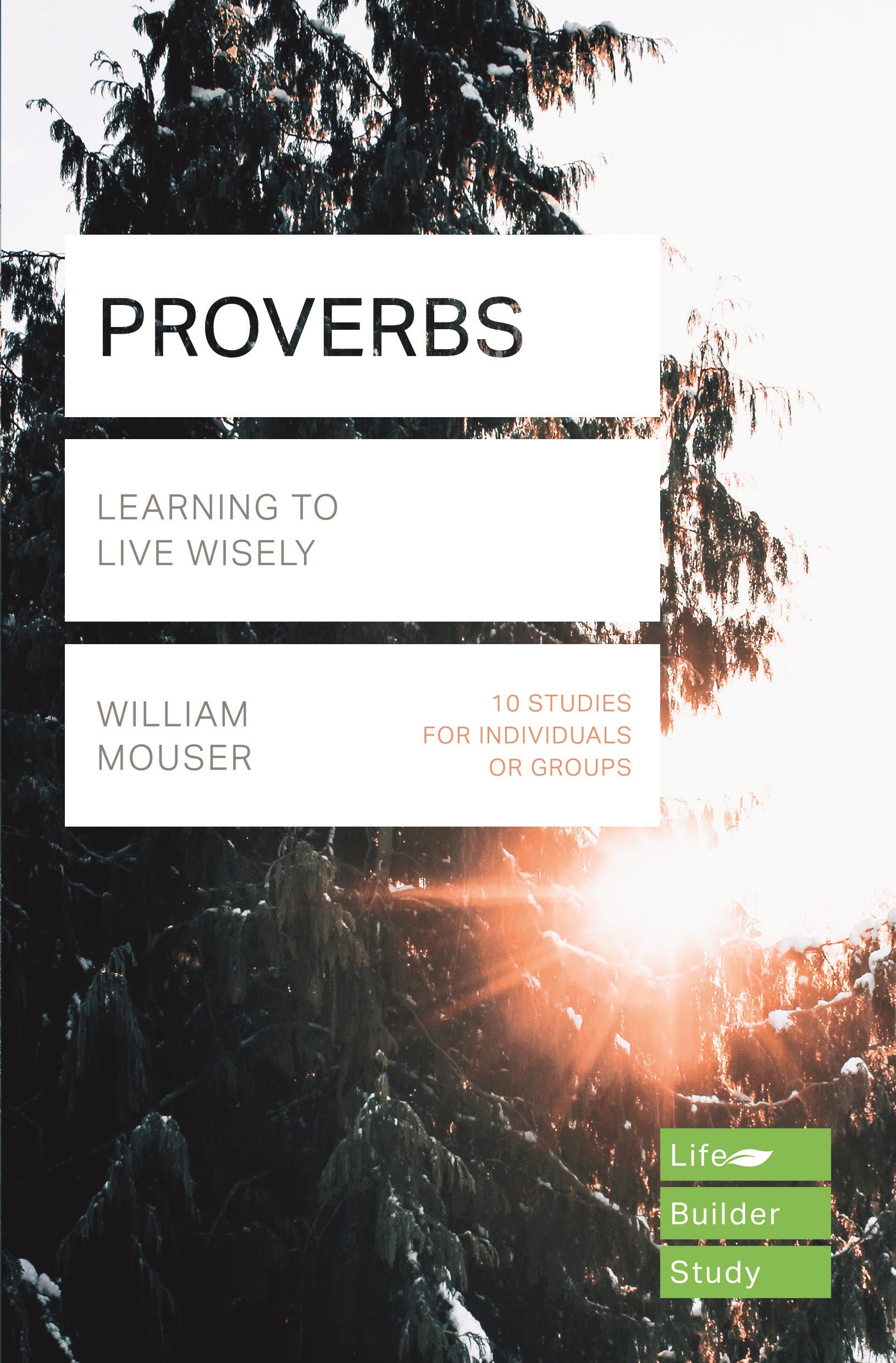 Image of Lifebuilder Bible Study: Proverbs other