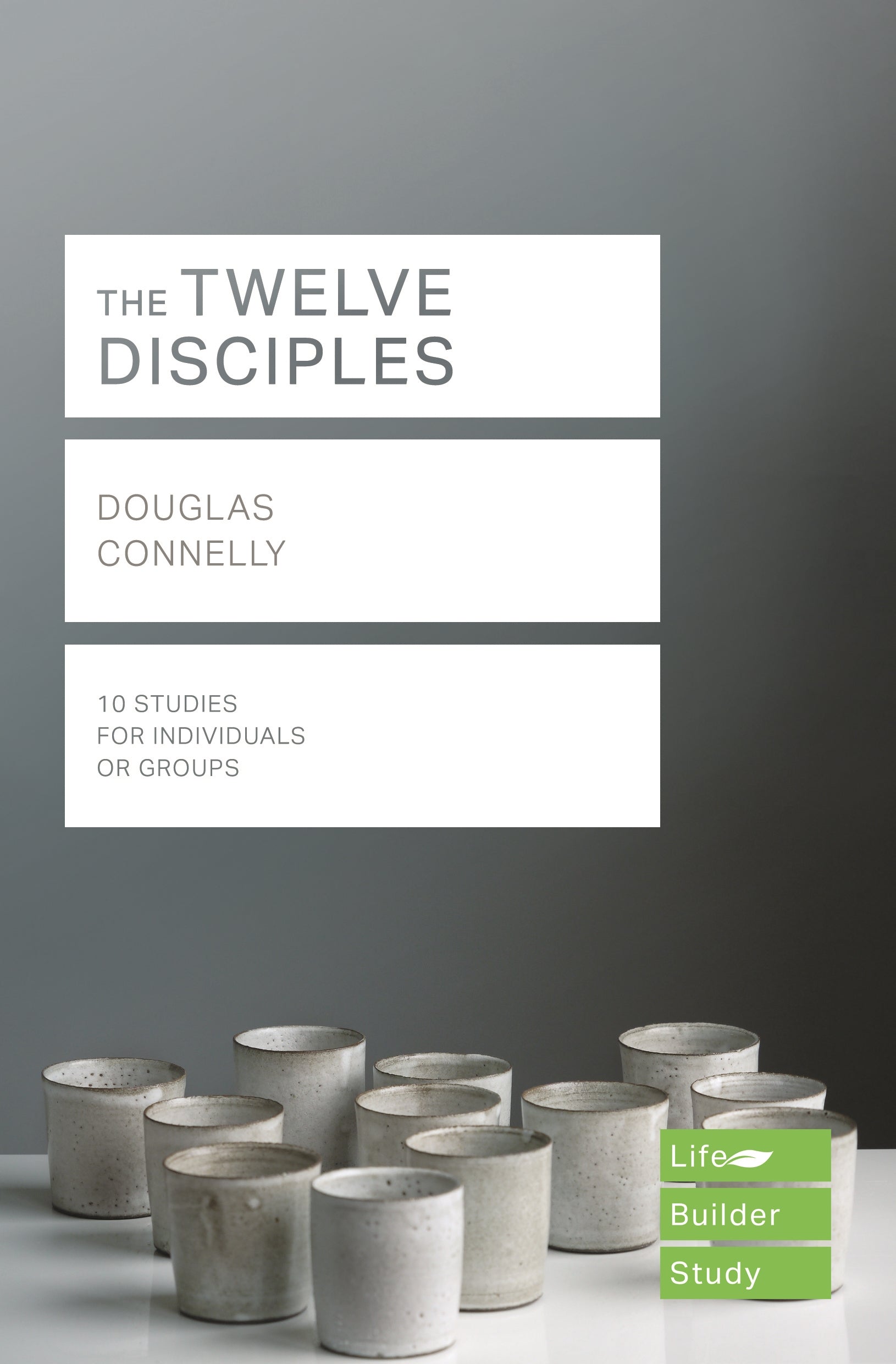 Image of Lifebuilder Bible Study: The Twelve Disciples other