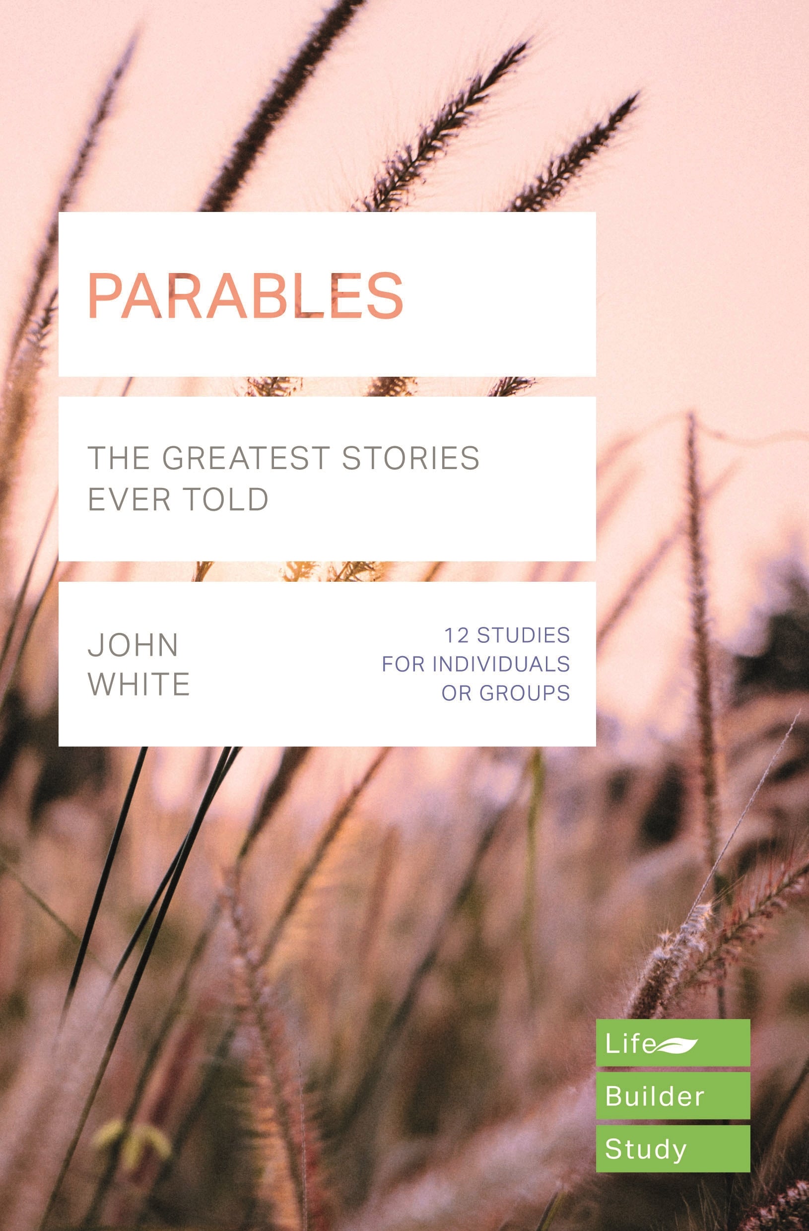 Image of Lifebuilder Bible Study: Parables other