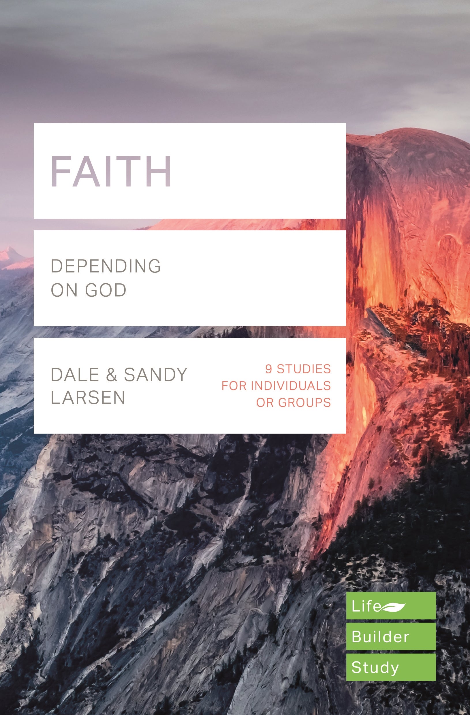 Image of Lifebuilder Bible Study: Faith other