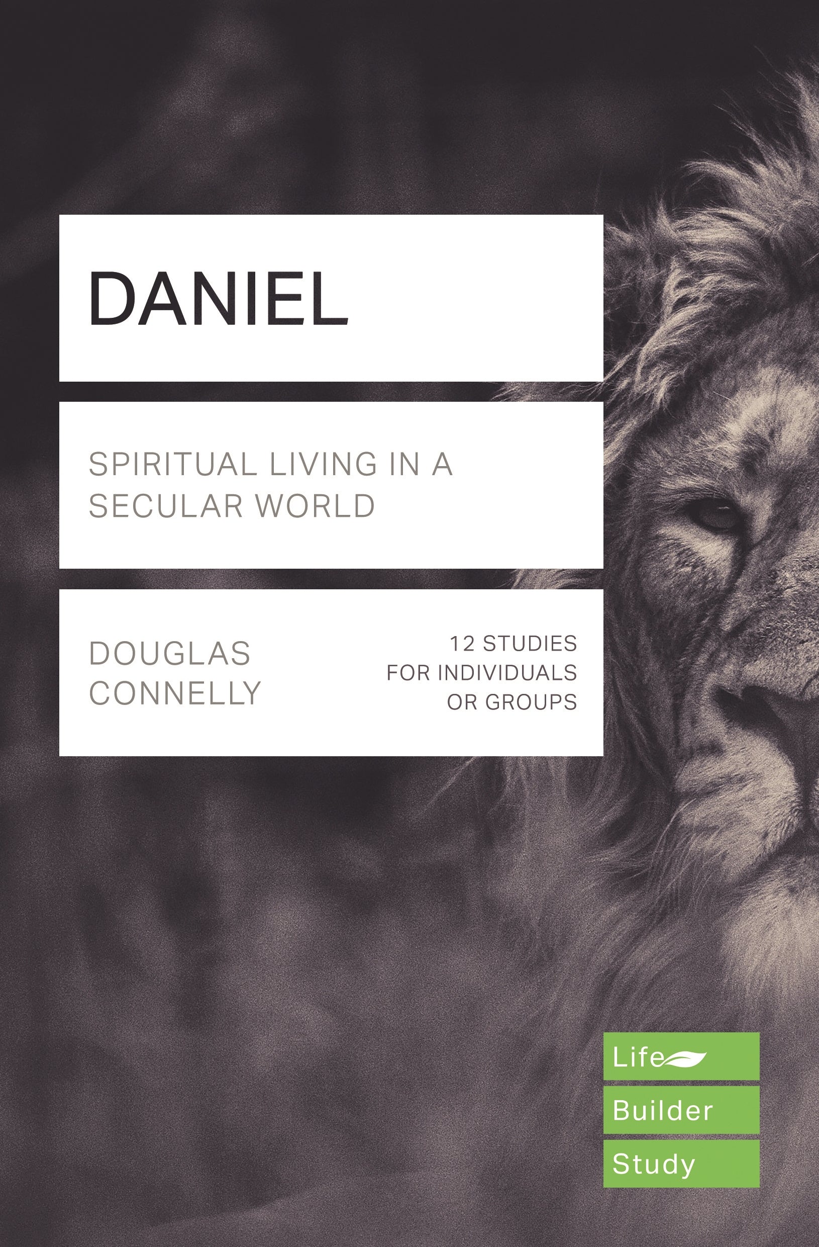 Image of Lifebuilder Bible Study: Daniel other