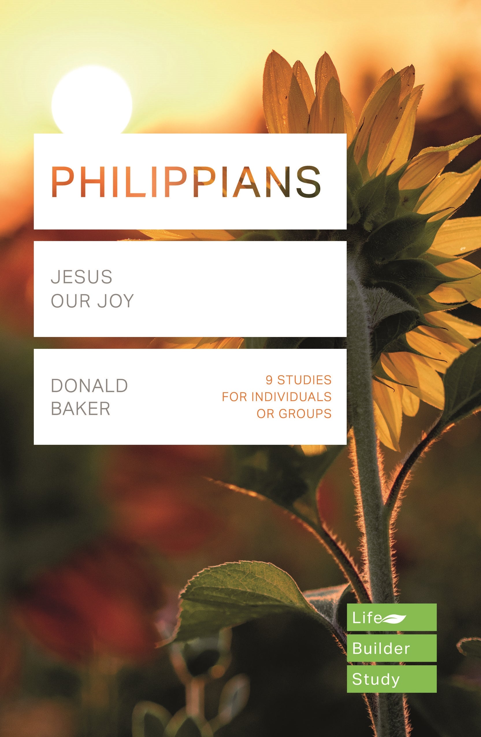 Image of Lifebuilder Bible Study: Philippians other