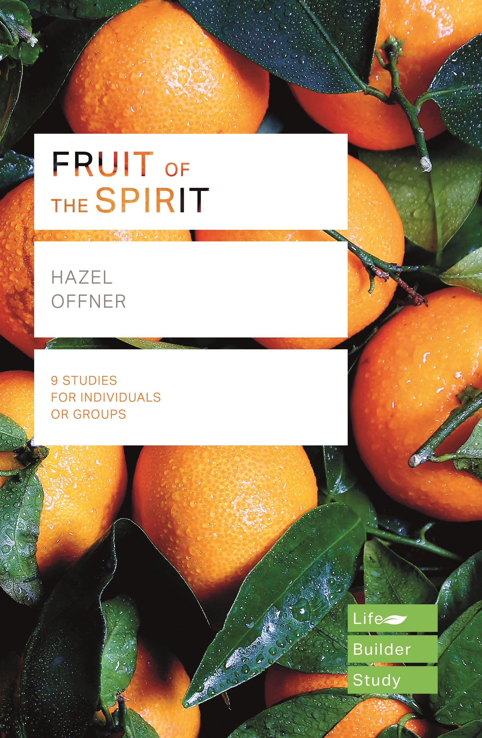 Image of Lifebuilder Bible Study: Fruit of the Spirit other