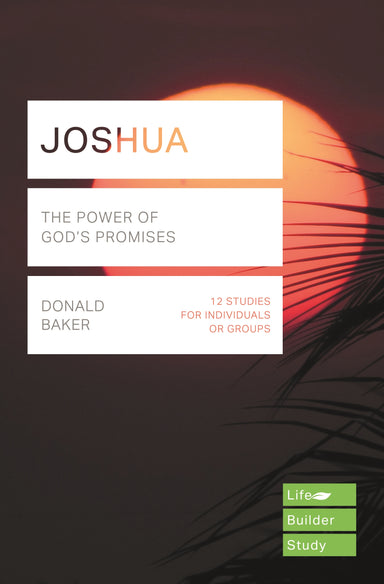 Image of Joshua other
