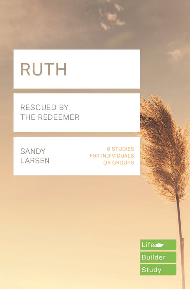 Image of Lifebuilder Bible Study: Ruth other
