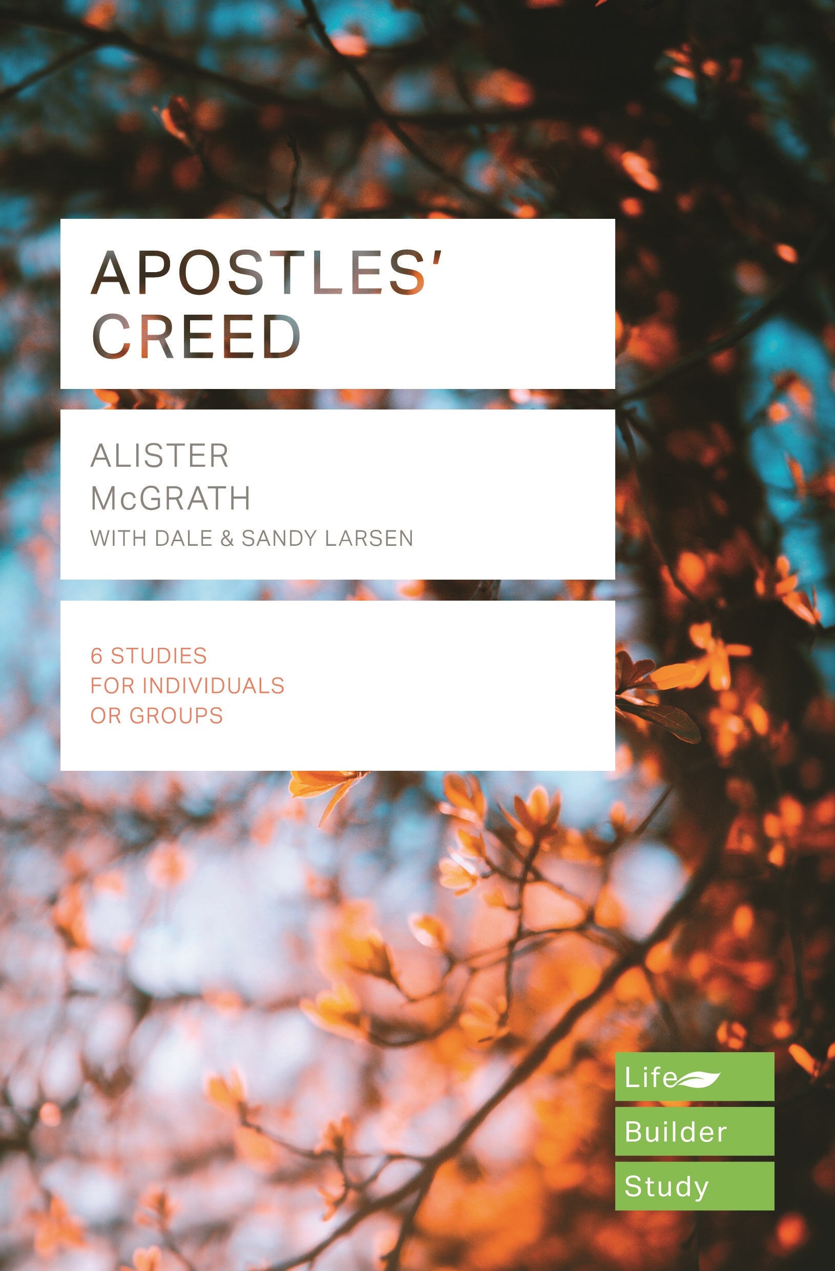 Image of Lifebuilder Bible Study: Apostles' Creed other