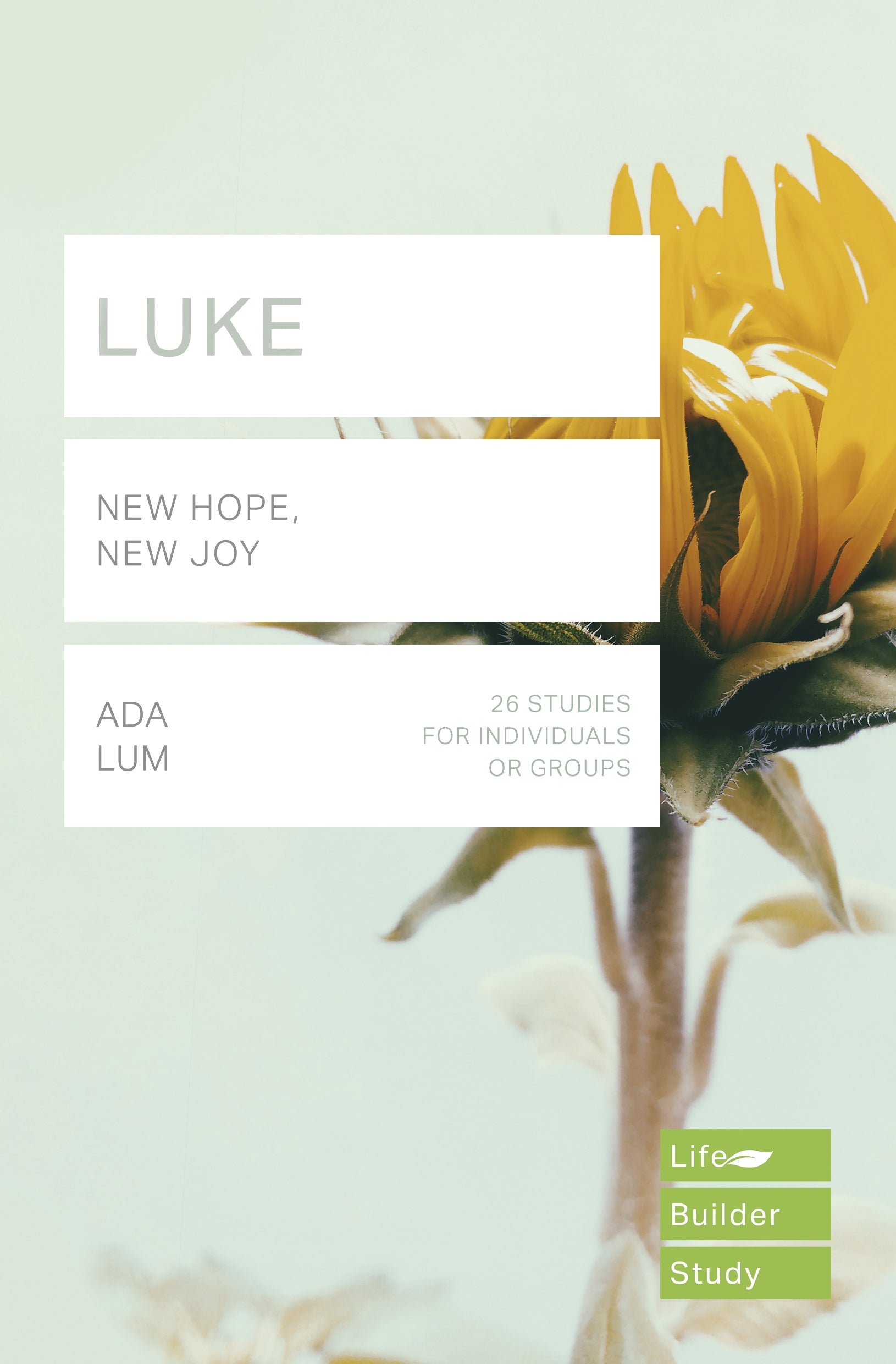 Image of Lifebuilder Bible Study: Luke other