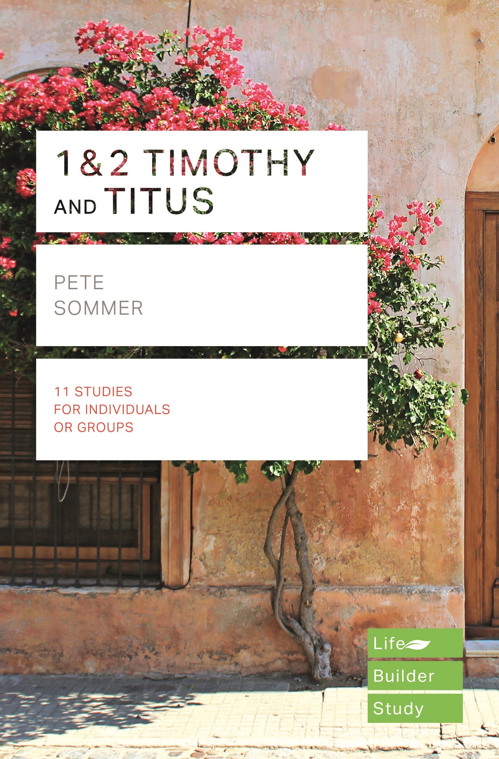 Image of Lifebuilder Bible Study: 1 & 2 Timothy and Titus other